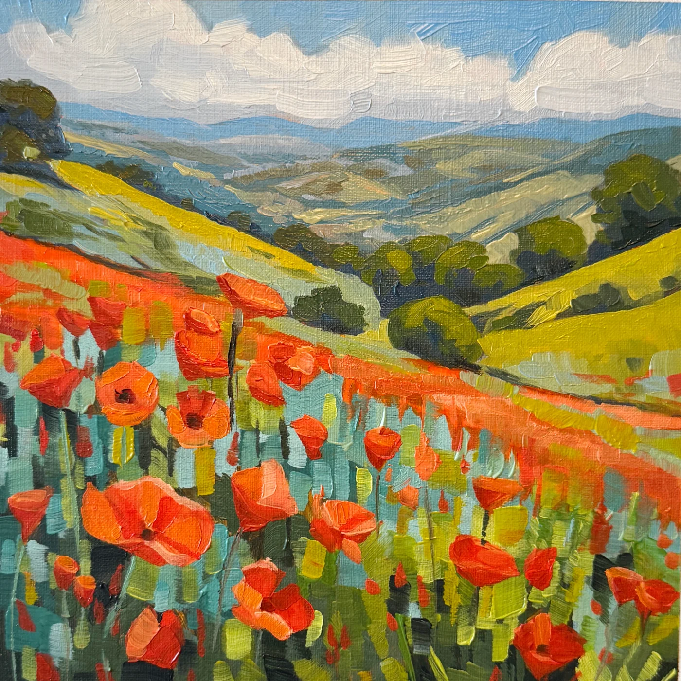 California Poppies